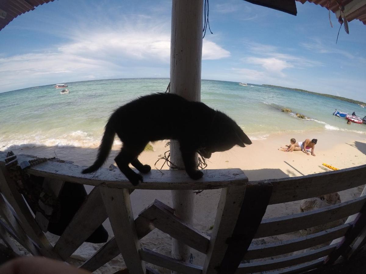 Despertarte Espacio De Arte Y Hospedaje Playa Blanca Exteriör bild